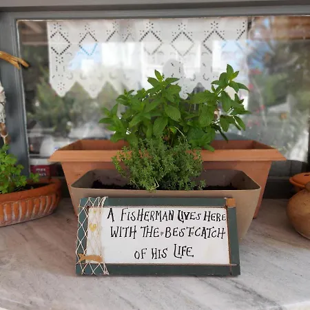 Del Mar 3* אנטיפארוס